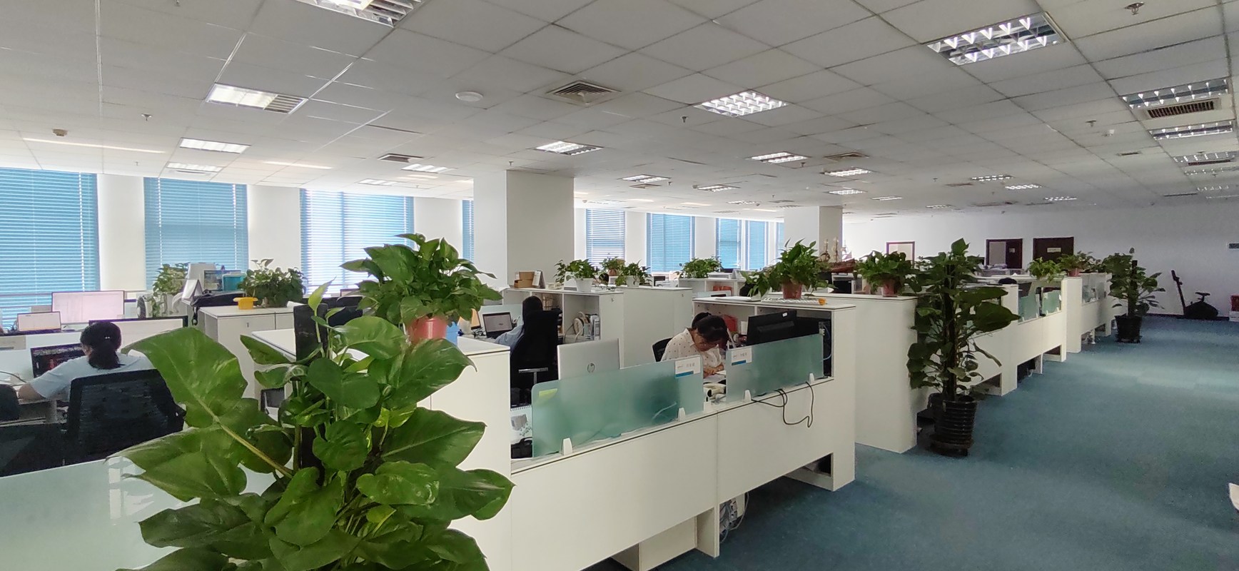 德利九州物流自动化系统（北京）与北京网络公司 携手推动智慧物流新篇章